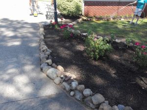 Landscaping for curb appeal